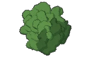 A large leafy tree